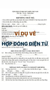 Ví dụ về hợp đồng điện tử