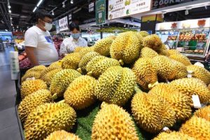 durian china 5403 1694665659