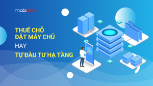 Thuê Chỗ Đặt Máy Chủ Hay Tự Đầu Tư Hạ Tầng: Đâu là lựa chọn phù hợp nhất?